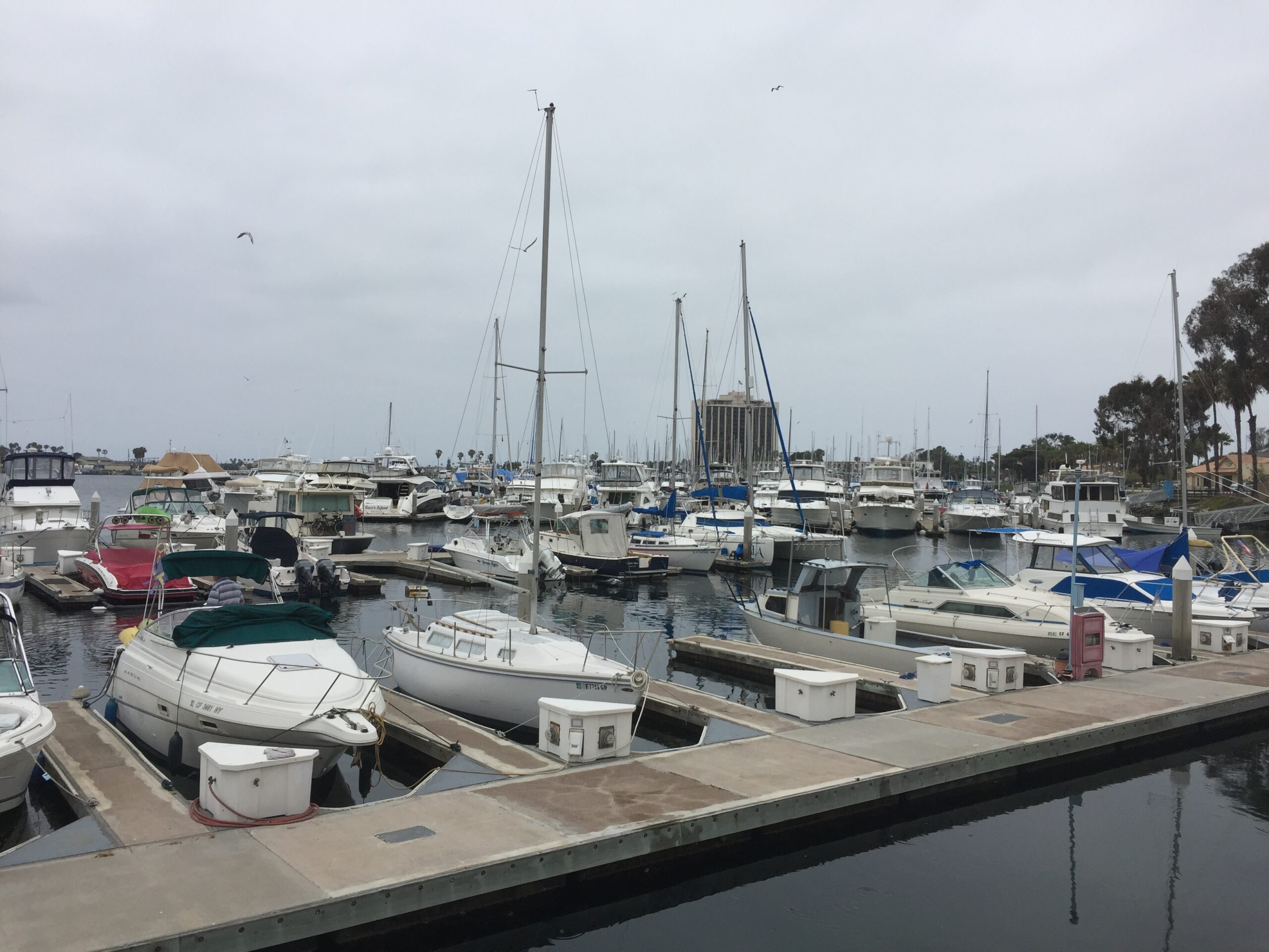 Harbor Trust Fund