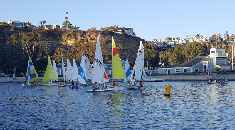 Rookie Regatta