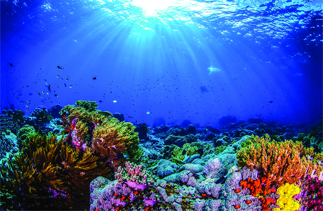 reefs