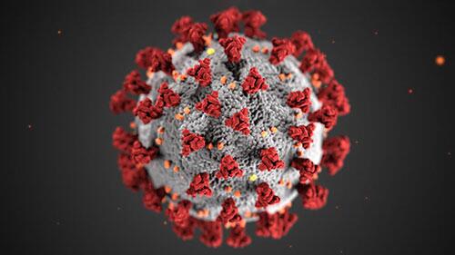 Coronavirus COVID-19