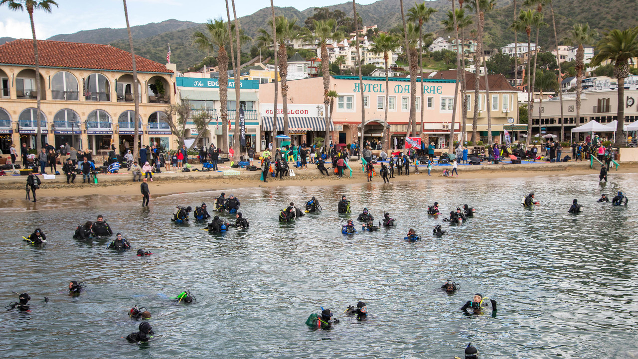 Avalon underwater cleanup