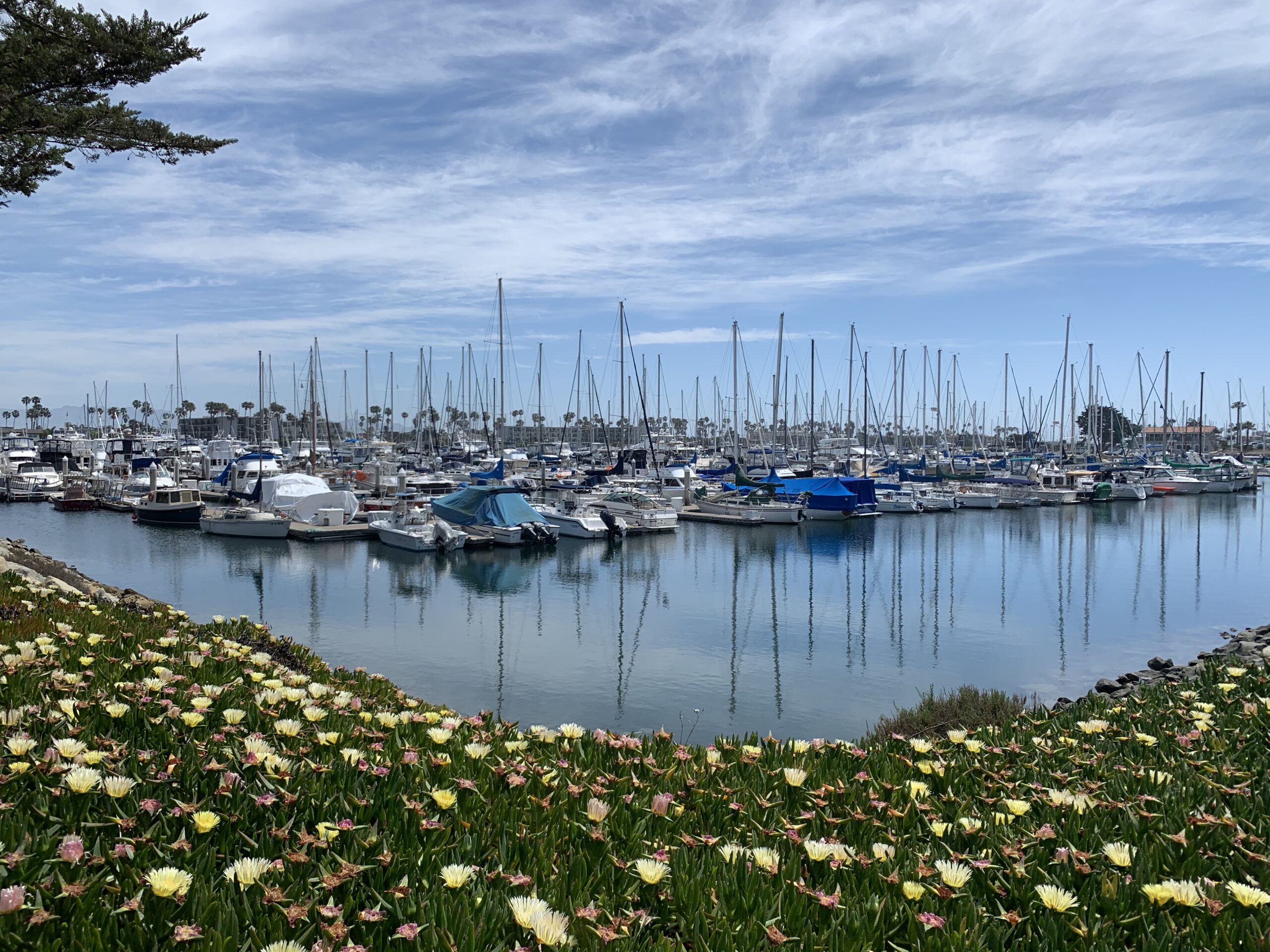 Channel Islands Harbor