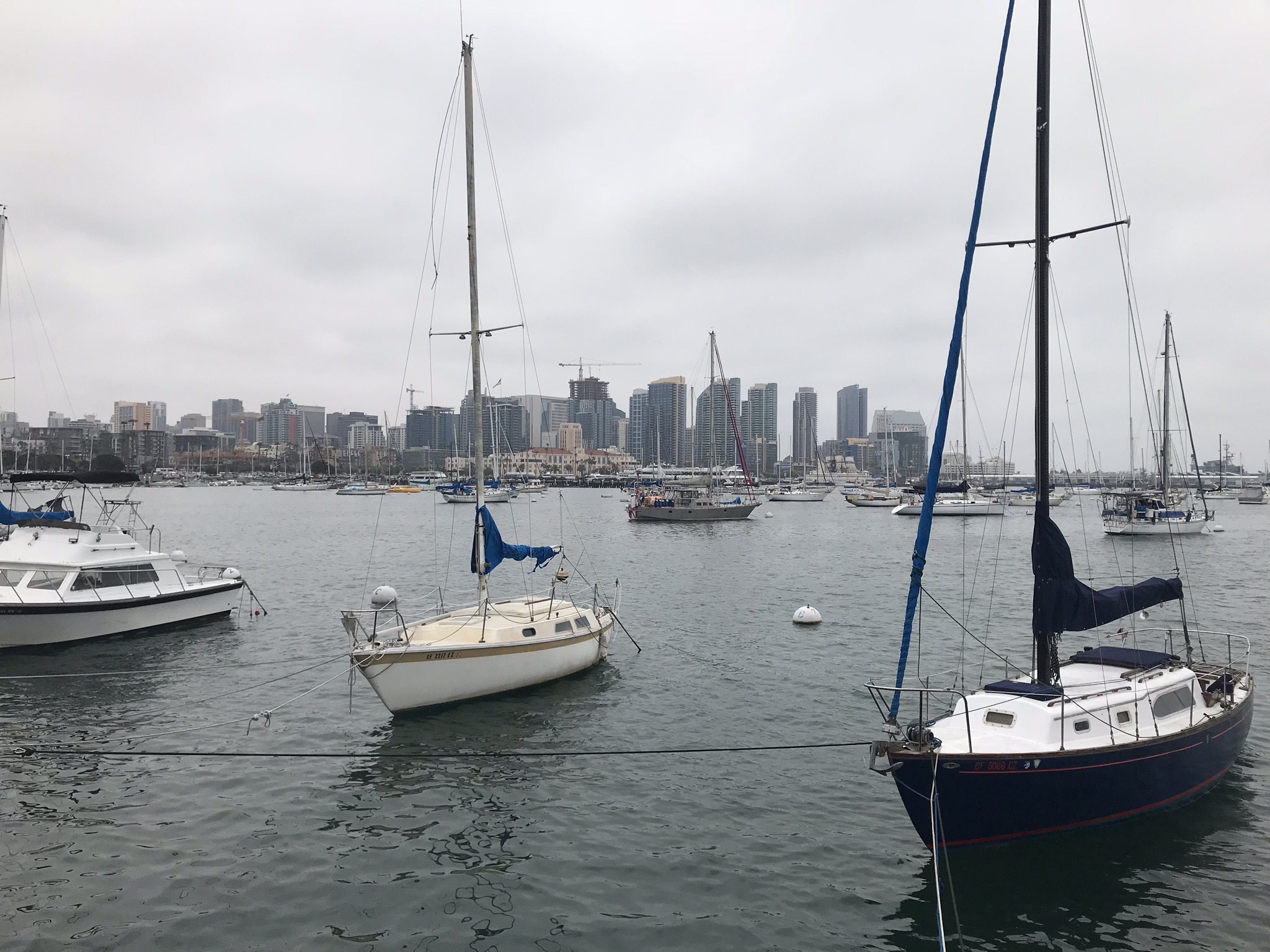 San Diego Covid