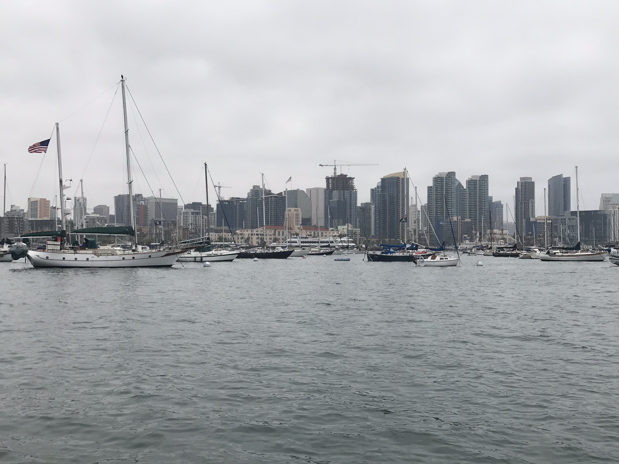 San Diego Illegal Charter