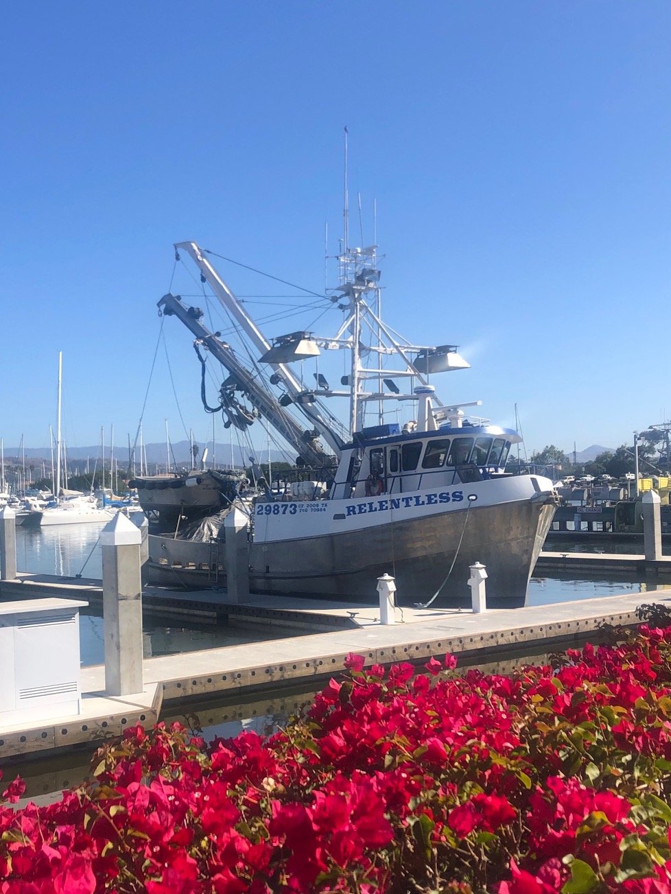 Ventura Harbor