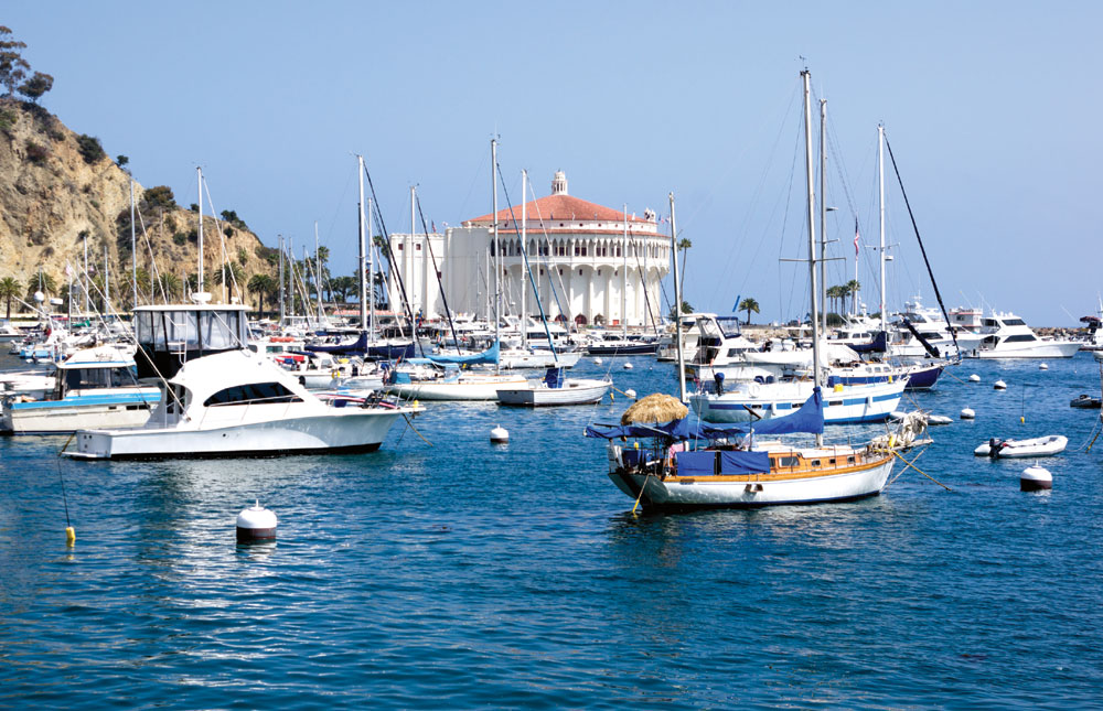 Avalon mooring credit card fee