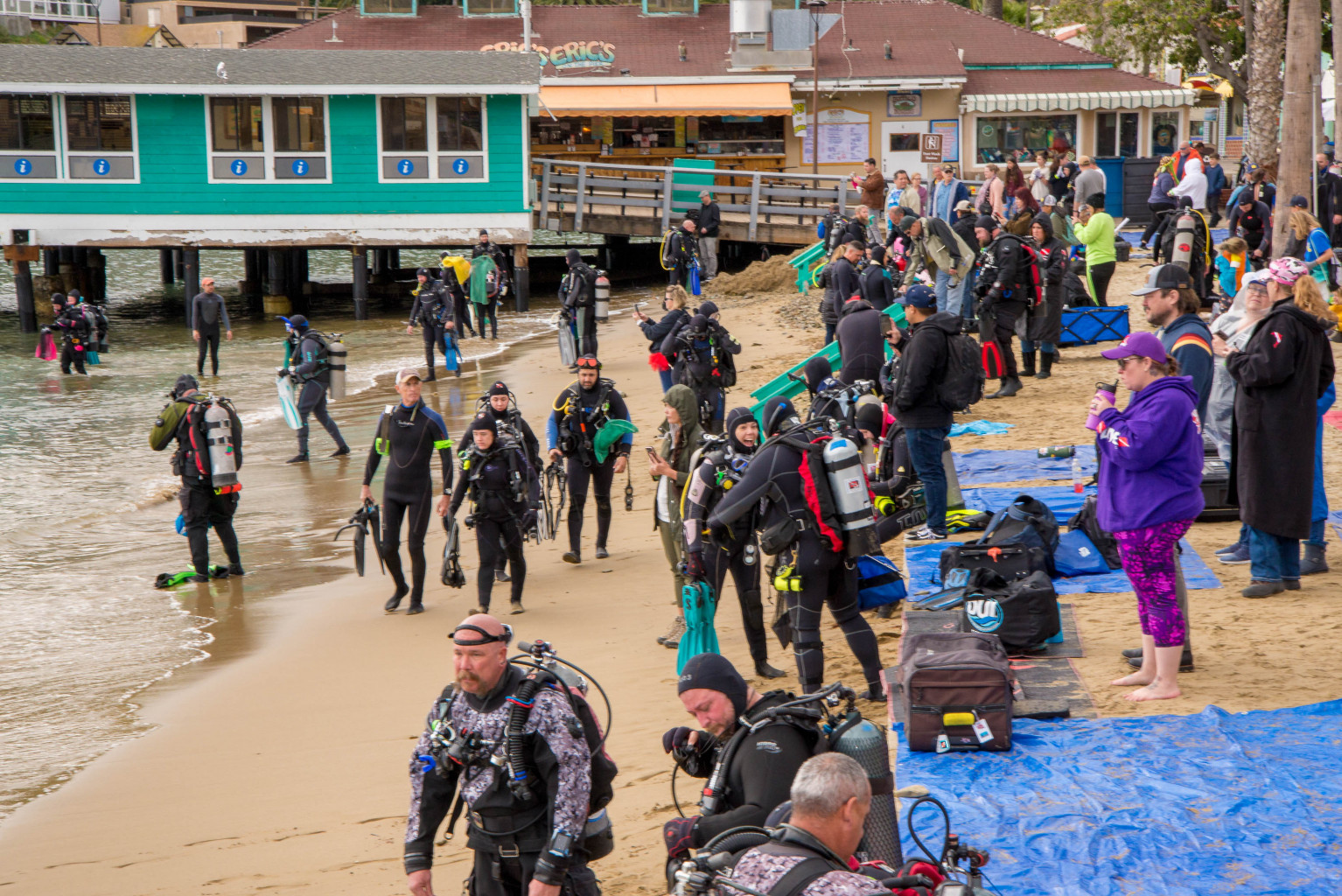 Avalon Harbor Underwater cleanup