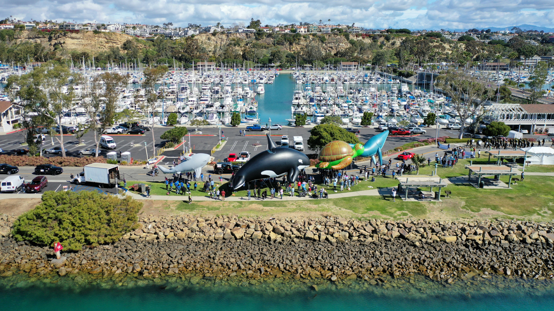 Dana Point Festival of whales