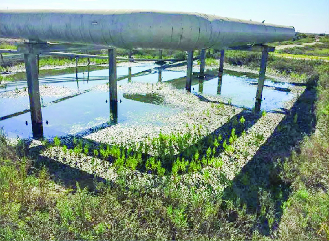 Plains American Pipeline
