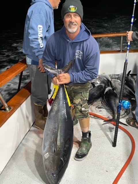 bluefin