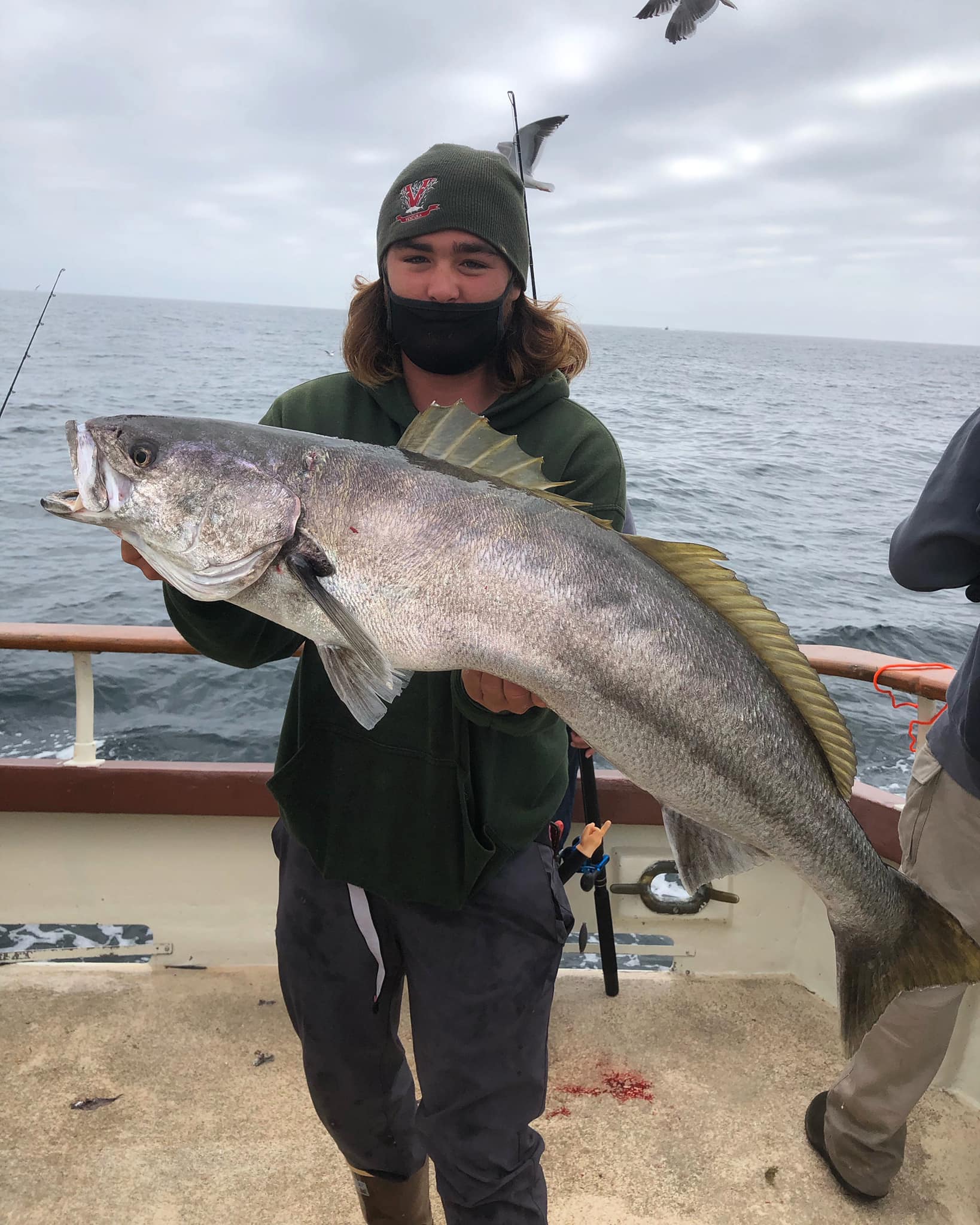 Sea Bass are Biting