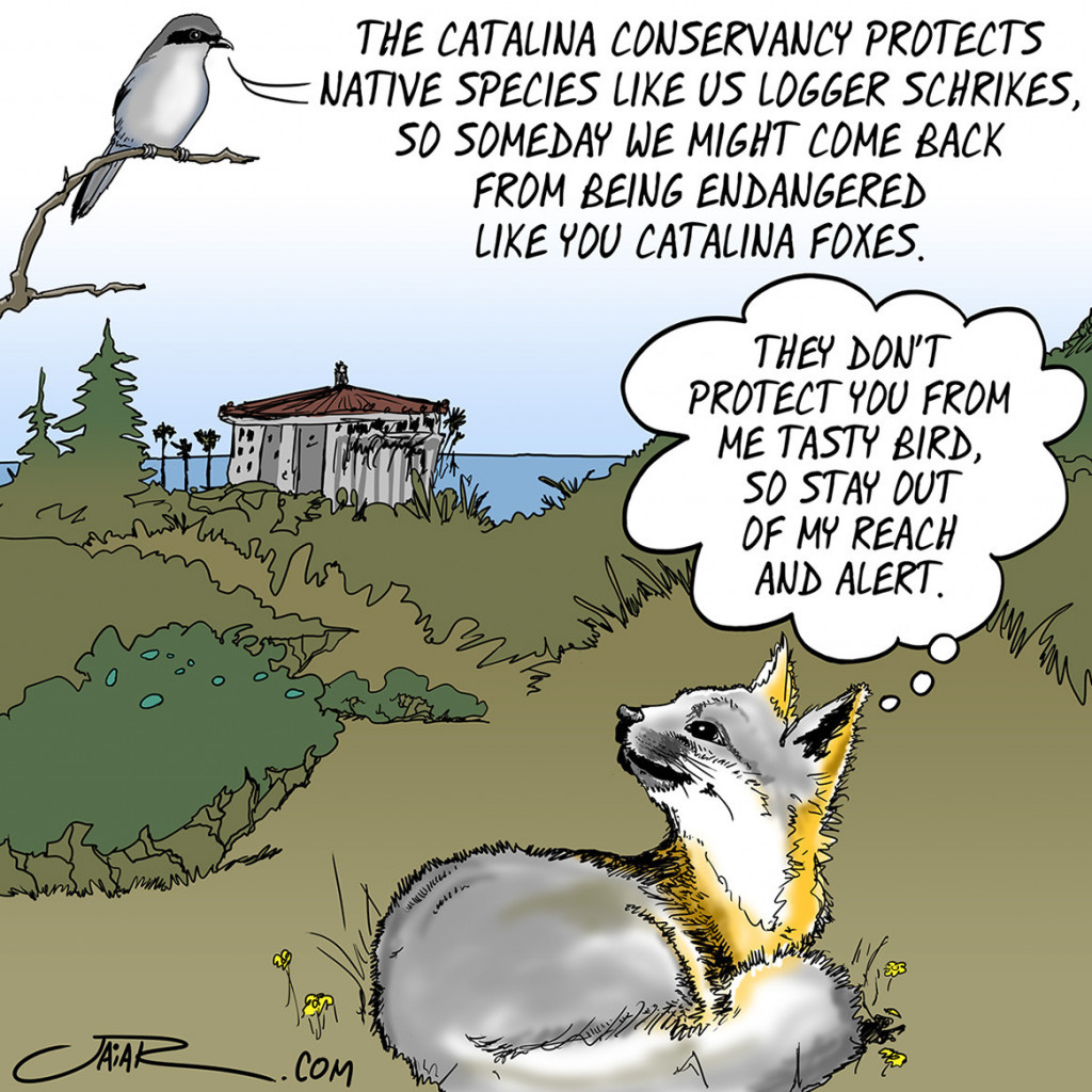 Cartoon